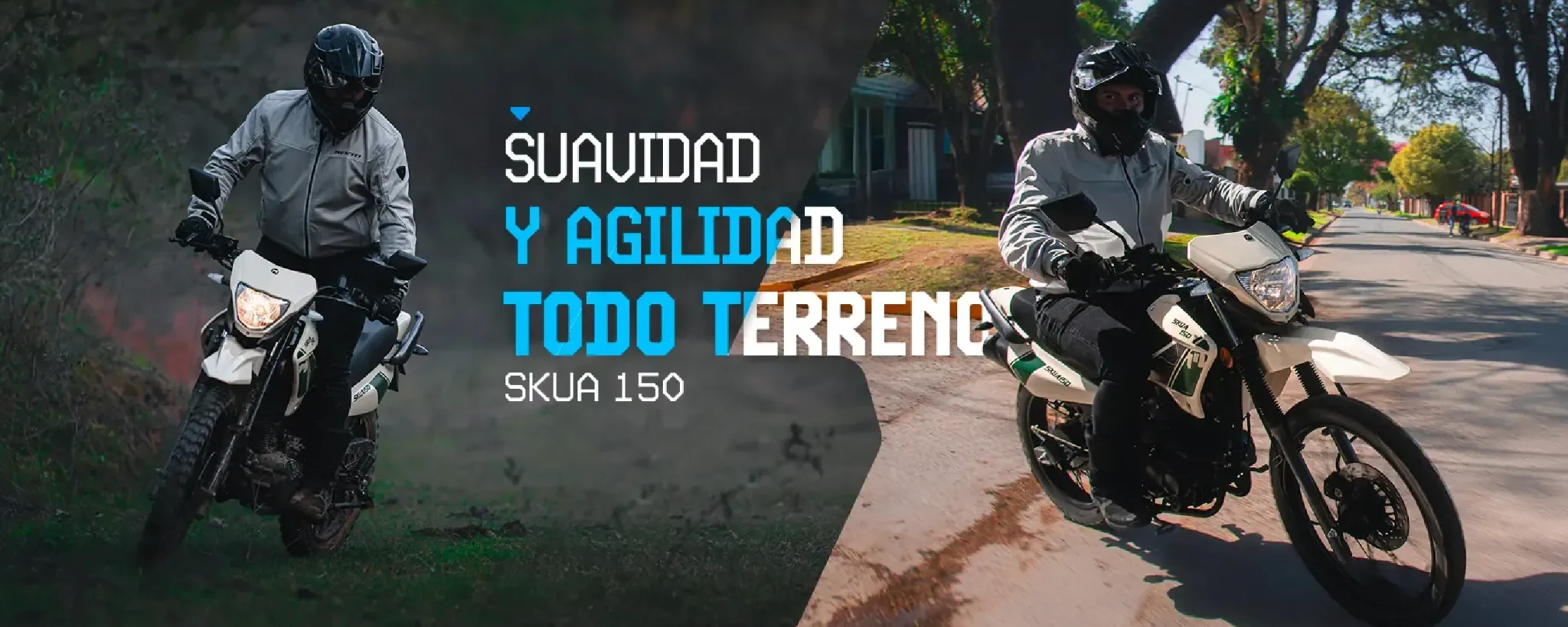 hero_skua